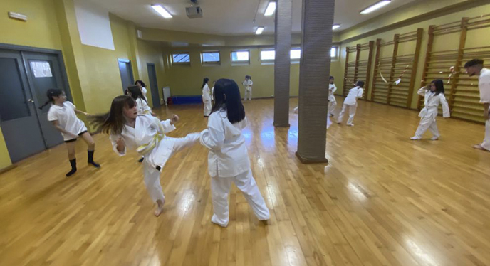 karate_0003_Capa 1